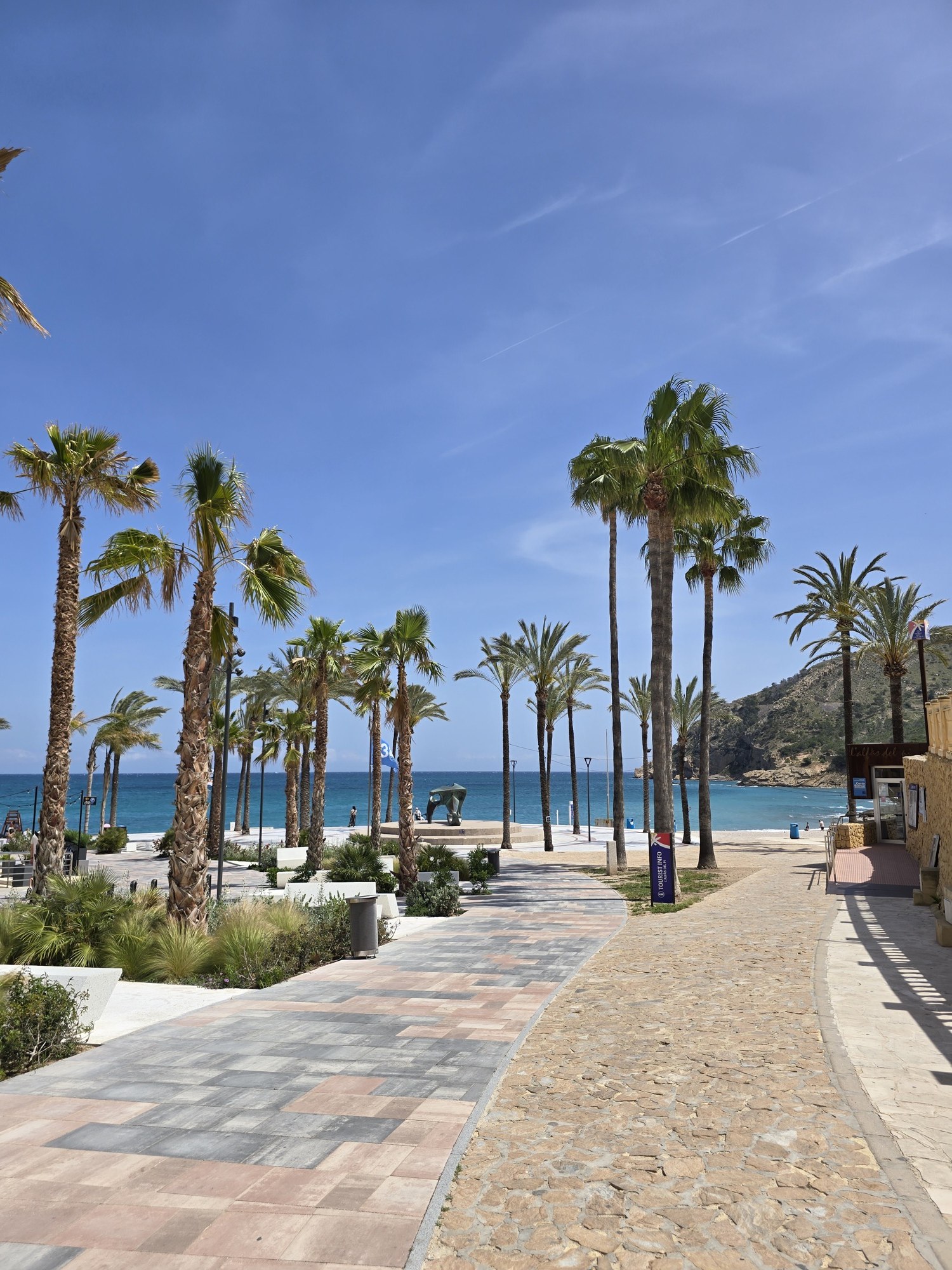 Boulevard van Albir met palmen